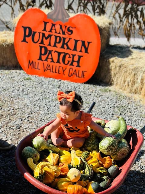 A baby sits in a wagon full of gourds beneath the Ian's Pumpkin Patch sign