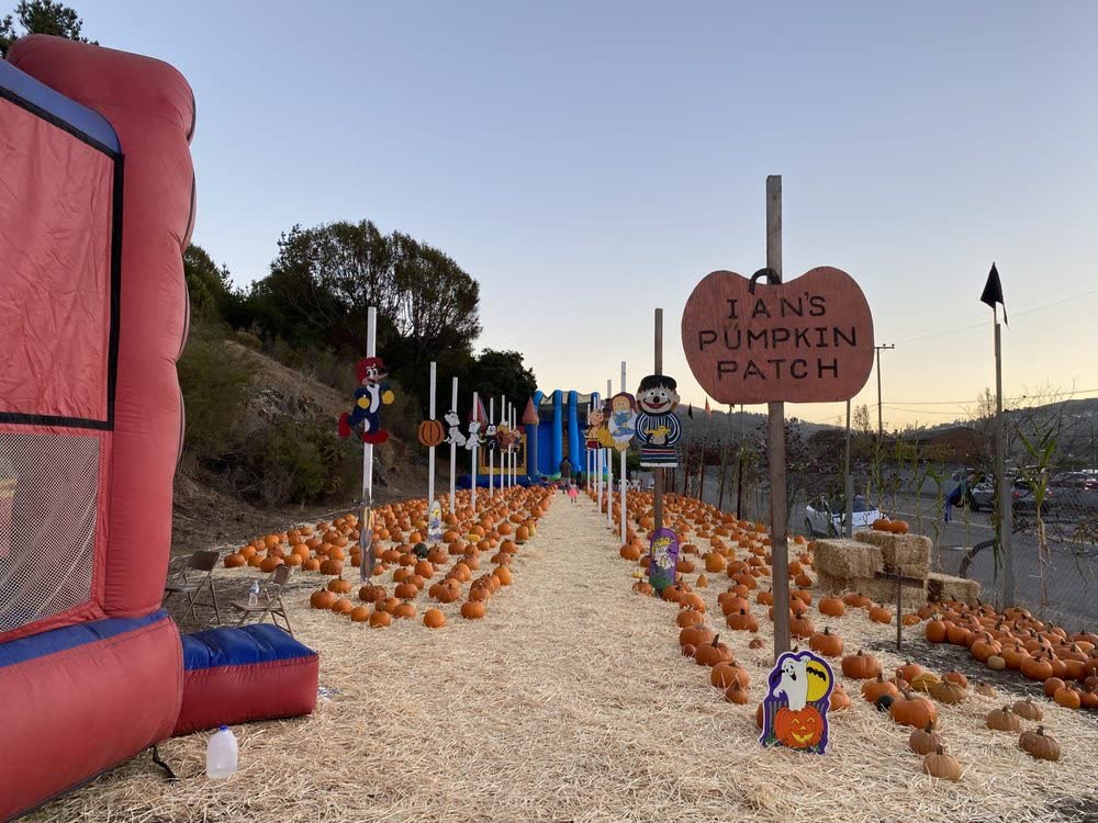Ian's Pumpkin Patch & Christmas Trees cover