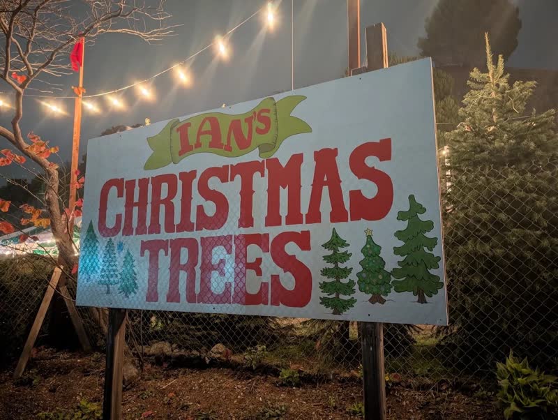 The hand-painted Ian's Christmas Trees sign lit up at night