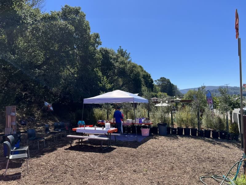 The shaded party area at the patch, with tables set up under a canopy