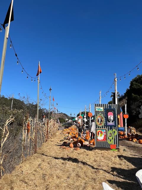 Flags mark the entrance to Ian's Pumpkin Patch off the Redwood Highway frontage road