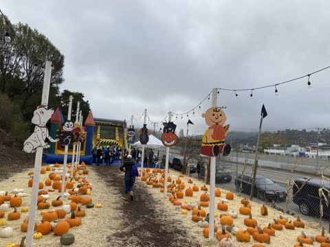 Wooden character cutouts and string lights along the pumpkin walkway, bounce houses in the background