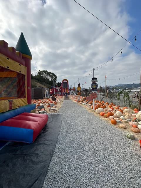 Gravel path through the pumpkin patch beside the bounce house
