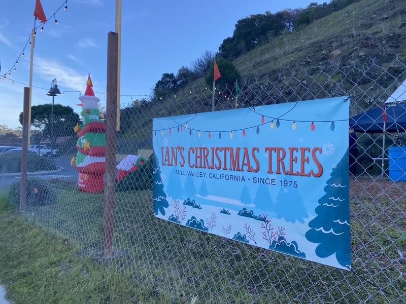 Banner on the lot fence reading Ian's Christmas Trees, Mill Valley, California, Since 1975