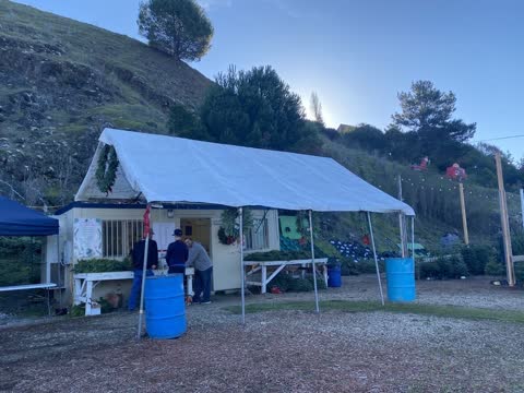 The checkout hut at Ian's Christmas Trees, decorated with wreaths